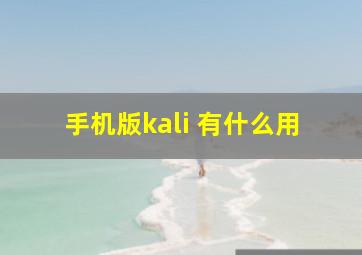 手机版kali 有什么用